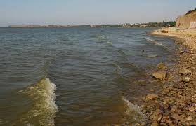 На на кухне как дома: Kamennyj Plyazh V Taganroge Taganrog