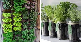 Kitchen herb garden from finding home. 18 Brilliant And Creative Diy Herb Gardens For Indoors And Outdoors Diy Crafts