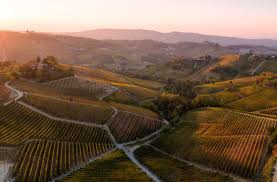 A Beginners Guide To Wines From Italys Piedmont Wine