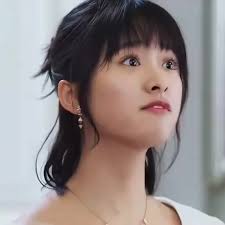 Meteor Garden 2018: O drama que conquistou corações