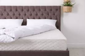 Check spelling or type a new query. How To Clean And Disinfect A Mattress Like A Pro Pro Housekeepers