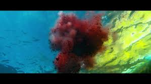 Maybe you would like to learn more about one of these? 47 Meters Down Uncaged Blu Ray Blu Ray Dvd Digital Hd