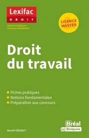 We did not find results for: Droit Du Travail Benoit Geniaut 9782749550084 Livre Unitheque Com
