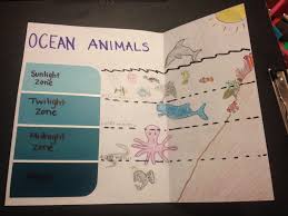 A Young Environmental Educator S Adventures Amp Lesson Plans In 2014 Ocean Classroom Ocean Zones Ocean Science