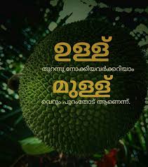 Pin By On മലയ ള ച ന തകൾ Typographic Quote Malayalam Quotes Life Quotes