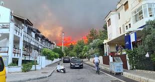 Yangin deği̇l yağma cevap yaz 14 0 yayından kaldır Zwcgrtiryxc Em