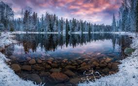 Finnland ist mit seinen grünen, scheinbar endlos weiten landschaften mit unzähligen seen und den polarlichtern ein einzigartiges reiseziel, das gleichzeitig auch lebhafte städte wie helsinki zu bieten. Finnland Landschaft Schneelandschaft Tapete 1920x1200 Wallpapertip