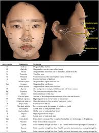 Landmarks and their definitions in the three-dimensional...