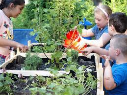 Jetzt auf lightinthebox.com im ausverkauf! Gartnern In Der Grunen Blase Gruppe F