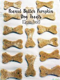 Grain Free Peanut Butter Pumpkin Dog Treats Recipe Dog Treats Grain Free Pumpkin Dog Treats Easy Dog Treats