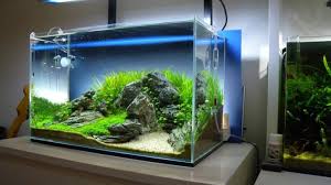 Meja aquarium unik seperti ini selain terlihat indah tentu juga punya fungsional yang baik ketika cek juga berbagai kebutuhan meja aquarium disini. Meja Aquarium Untuk Aquarium Minimalis Rumah Com