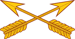 I have over 25 years of experience collecting vietnam era militaria and military fighting knives from ww2 to present day. United States Army Special Forces Wikipedia