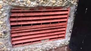 Unlike a honeybee hive, bumblebees usually nest close to the ground or even underground, in stone walls, under clumps of grass, or in hollow trees and stumps. Bumble Bee Nest In My Cavity Wall Youtube