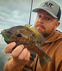 Benton county Arkansas. Caught three blue gill