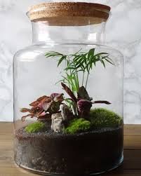 To start your diy terrarium, place approximately 1 to 2 inches of charcoal in the base of the container. How To Make A Terrarium Diy Terrarium Tips Garden Design