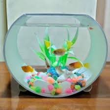 Hiasan aquarium mini sangat banyak variasinya. Jual Produk Aquarium Unik Termurah Dan Terlengkap Mei 2021 Bukalapak