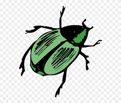 We did not find results for: Top Green View Wings Shiny Insect Beetle Legs Beetle Clipart Hd Png Download 576x640 3984110 Pngfind