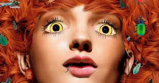 5 still life artworks and their film counterparts