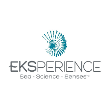 Eksperience - Photos | Facebook
