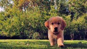 We have awesome 39932 1080p laptop full hd wallpapers. Funny Full Hd Hdtv Fhd 1080p Wallpapers Hd Desktop Backgrounds 1920x1080 Images And Pictures