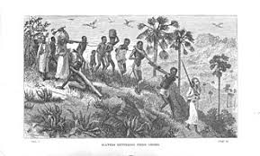 Indian Ocean slave trade - Wikipedia