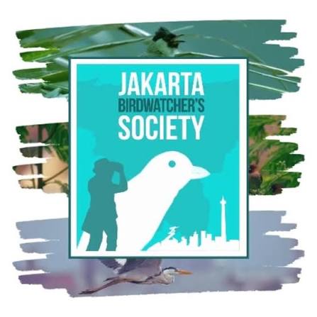 Pecinta Burung