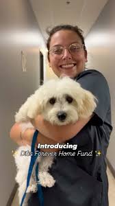 Sweet girl is sick tonight, but pushing through ❤️‍🩹 📹: @anaaperezzzz