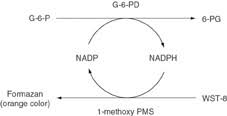 Image result for G6PD Deficiency Detection
