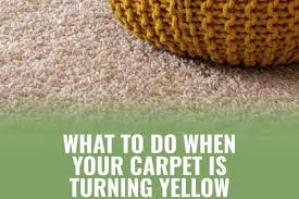 Press the paper towels firmly into the stain with an old shoe (or anything disposable) so as to push the towels deep into the carpet fibers and absorb as much urine stains as possible. Carpet Turning Yellow After Cleaning Here S What To Do Ready To Diy