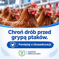 Komunikaty | Główny Inspektorat Weterynarii