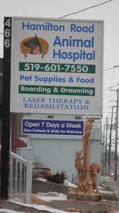 Hamilton Road Animal Hospital