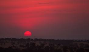 Serengeti National Park | Useful ...