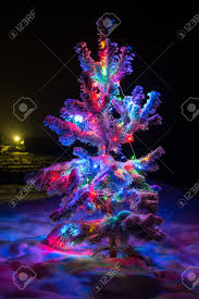 Maybe you would like to learn more about one of these? Shining Lights Of A Natural Christmas Tree Covered Snow New Years Night Black Outdoor Background Stock Photo Picture And Royalty Free Image Image 24024799