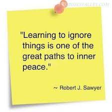 Ignore Ignorant People Quotes Quotesgram