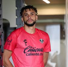 Signal caldo de pollo