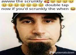 aww the skrunkly 🥺 : r/systemofadown