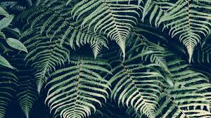 Image about green in collage by. 27 Green Aesthetic Wallpapers Wallpaperboat