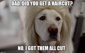 He had fairly long hair. Dad Jokes Imgflip