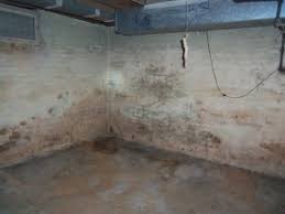 Bonded's professional basement waterproofing services in nj, ny & ct offer reliability & a transferable warrantee. Basement Waterproofing New York Ny