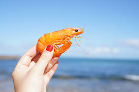 Jul 04, 2016 · c.poomagal sjkt bestari jaya 1. Experience Selangor S Coastal Seafood Delights Expatgo