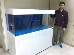 Sump Sistemli Yeni Akvaryum Kurulumu 150x60x60cm Rasim Sagir Aksa Jenarator Youtube Akvaryum Alabama Rasta