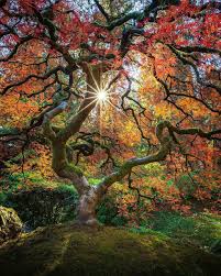 All wallpapers are in hd formated and i . 29 Wallpaper Nature Zip Basty Wallpaper