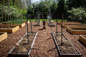 We did not find results for: My Cattle Panel Trellis Kevin Lee Jacobs