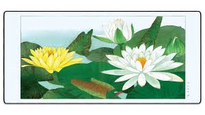 Image result for Nymphaea