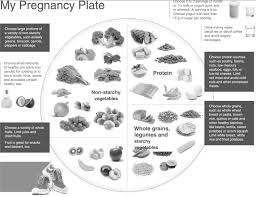 Just try to stick to one or two small treats a day. My Pregnancy Plate Dietary Suggestions For Healthy Nutrition During Download Scientific Diagram