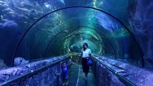 Tempat Wisata Dan Rekreasi Indonesia Wisata Ancol Dan Harga Tiket Harga tiket masuk seaworld ancol pada bulan februari 2021 ini sebesar rp 85.000 untuk weekday dan rp 105.000 untuk weekend. wisata ancol dan harga tiket