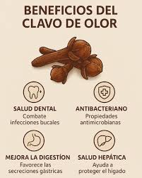 ✨ ¿Sabías que el clavo de olor es mucho más que una especia aromática? 🌿