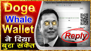 Post by crypto news hindi. Dogecoin Update Dogecoin Latest Price Prediction Urgent Update For Dogecoin Cryptocurrency News Coinmarketbag