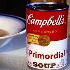 Primordial Soup Campbell S Soup Cans Love Food Campbells