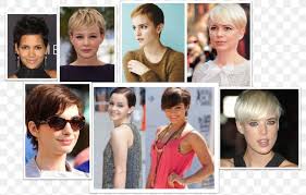 02:01 edt, 8 april 2012 | updated: Anne Hathaway Blond Pixie Cut Hair Coloring Short Hair Png 800x524px Watercolor Cartoon Flower Frame Heart
